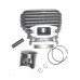 ЦПГ для бензопил Carver RSG 52-20К, RSG 252, Promo PSG 52-18 52182