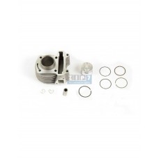 ЦПГ (поршневая) d40 139QMB 50см3