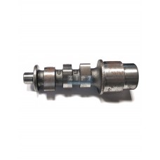Распредвал Champion DG6000, DW190AE